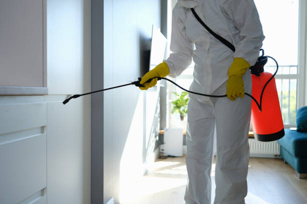 Best Office Mold Removal Services  in Fort Thomas, KY